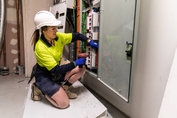 Best Electric Panel Repair  in Peach Springs, AZ